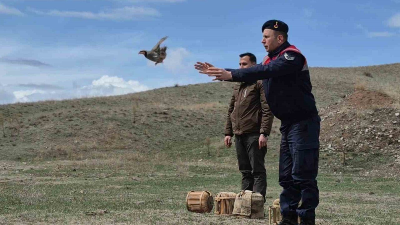 Kars’ta Kaçak Avcılara Dev Operasyon