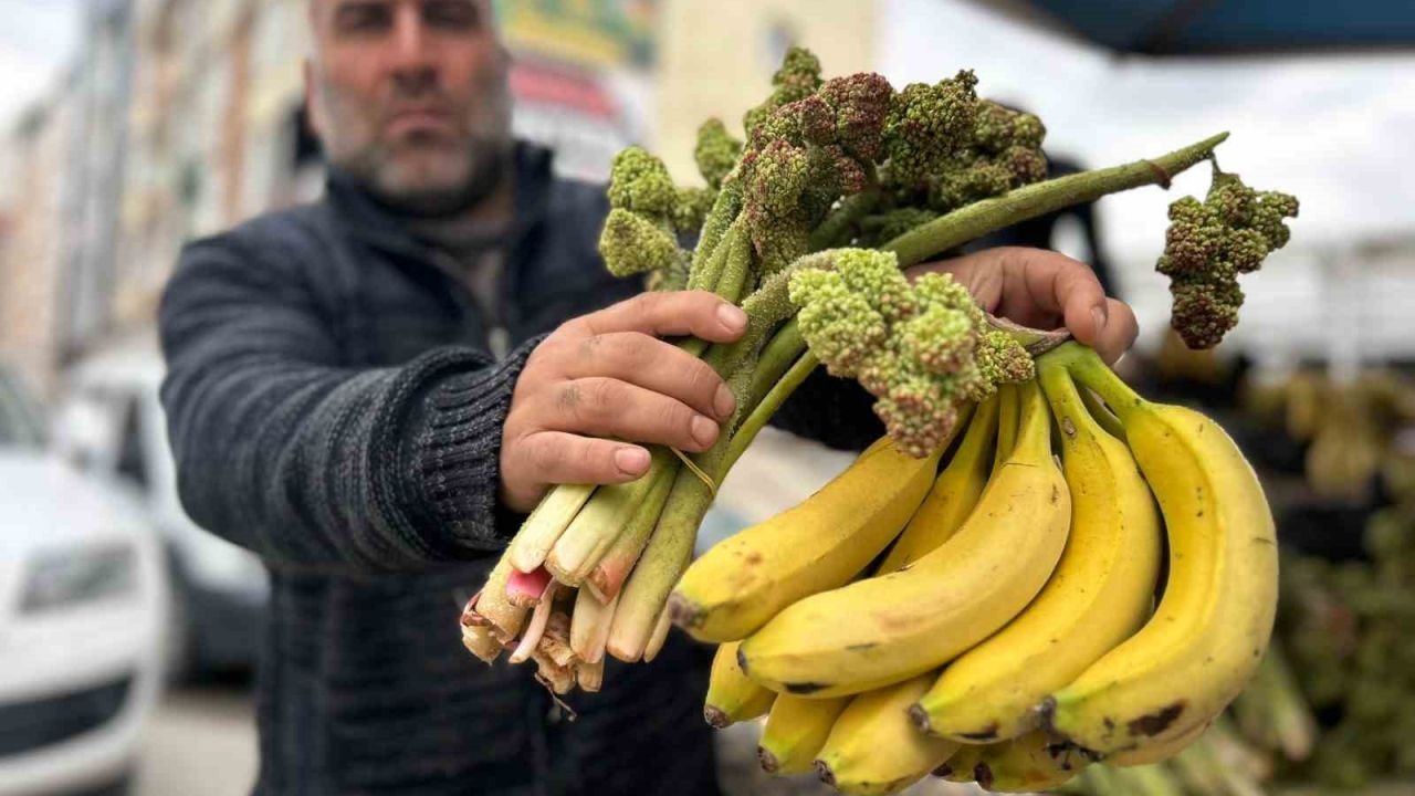 Kilometrelerce Yol, Bin Bir Emek: Uçkunun Kilogramı 400 Lira