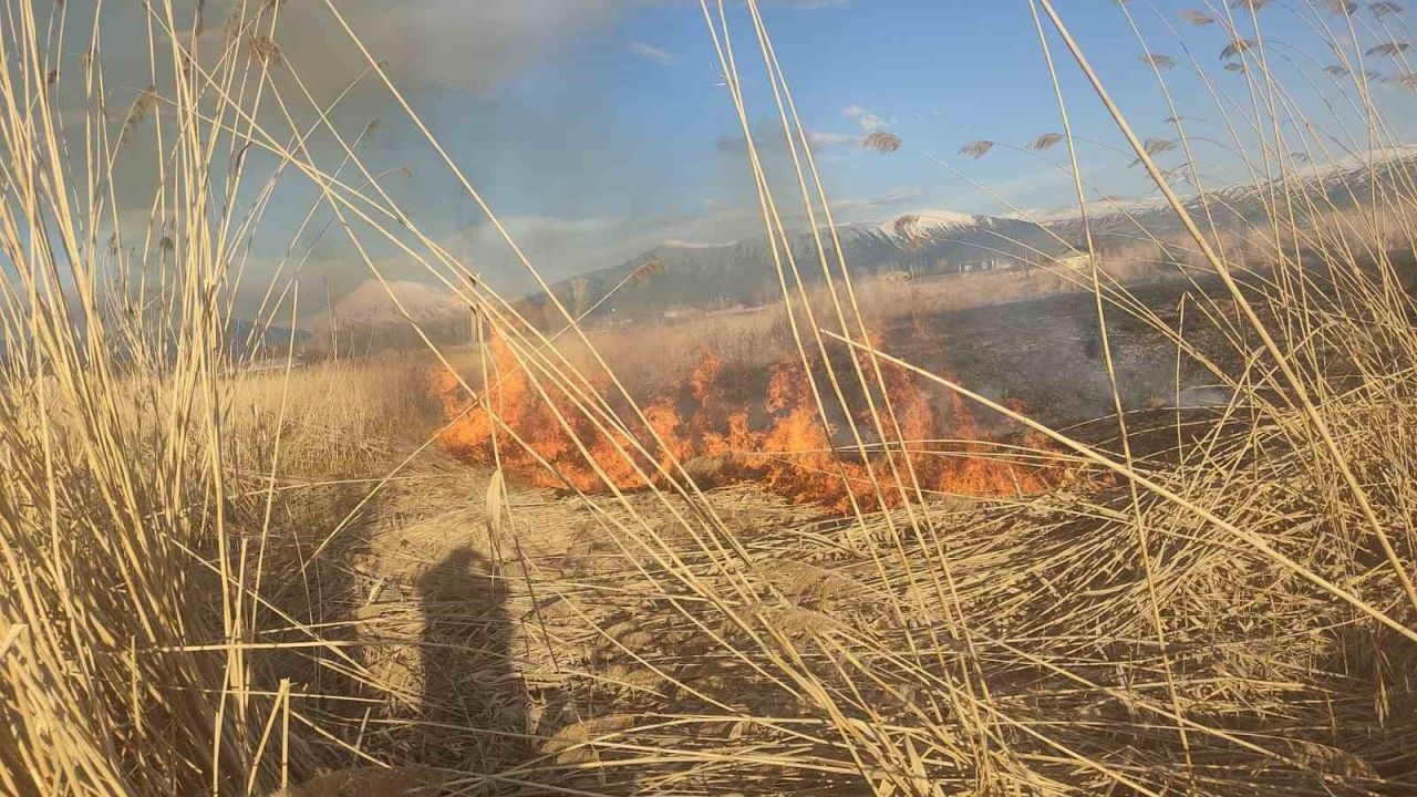 Muradiye’de Kuşların Yuvası Yandı: İtfaiye Ekipleri Alevleri Bir Saatte Kontrol Altına Aldı