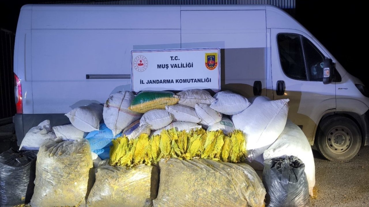 Muş’ta 1 Tonun Üzerinde Bandrolsüz Tütün Ele Geçirildi: 1 Gözaltı