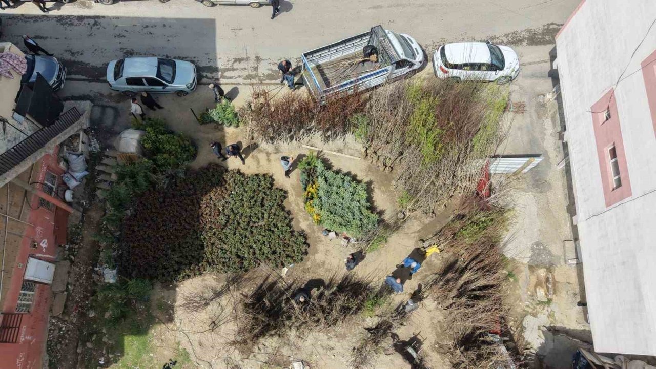 Muş’ta Meyve Fidanları Toprakla Buluşmaya Hazır