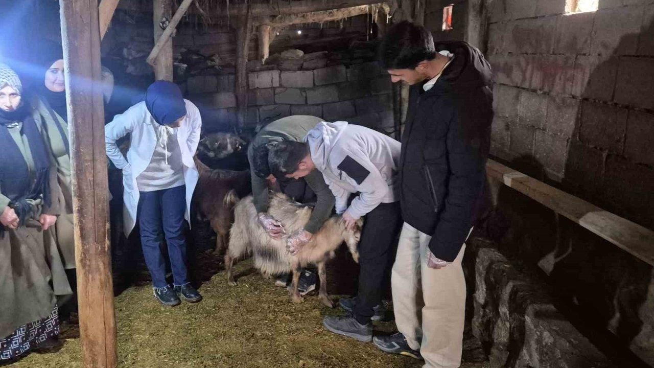 Özalp’te Çiftçilere Yönelik Büyük Eğitim Seferberliği Başladı