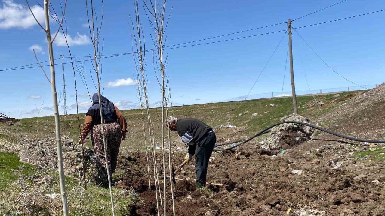 Patnoslu Vatandaşlardan Geleceğe Miras: İmece Usulü Fidan Dikimi