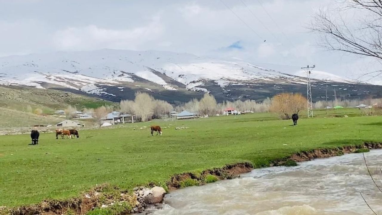 Patnos’ta Doğanın Oyunu: Aşağısı Bahar Yukarısı Kar