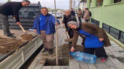 Pir Sultan Abdal Mahallesi’nde Cami Önüne Çınar Fidanları Dikildi