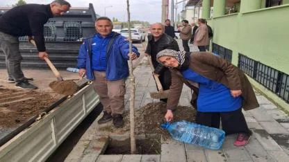 Pir Sultan Abdal Mahallesi’nde Cami Önüne Çınar Fidanları Dikildi