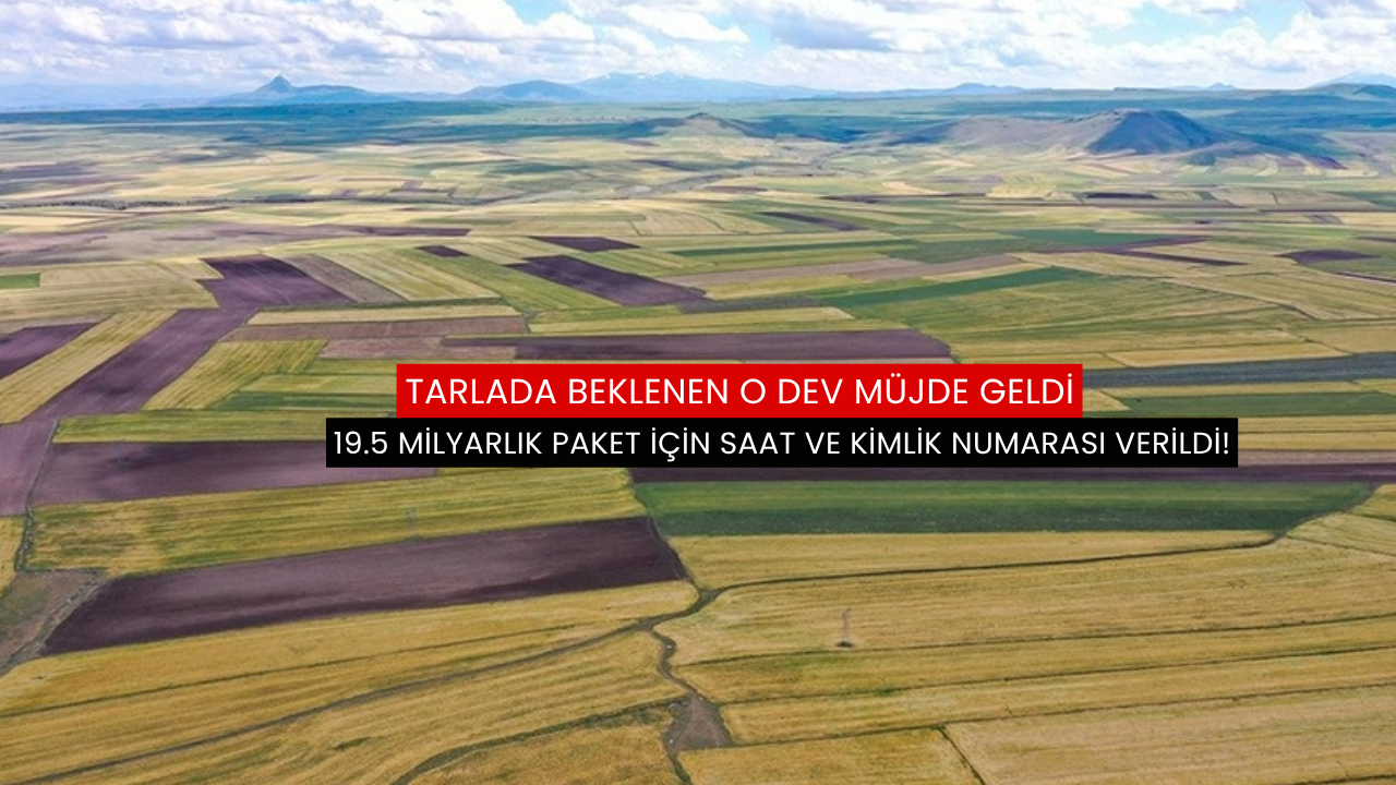Tarlada beklenen o dev müjde geldi