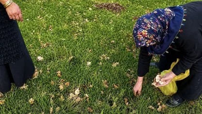 Ağrı’da Meralar Şenlendi: Hem Şifa Kaynağı Hem De Geçim Kapısı