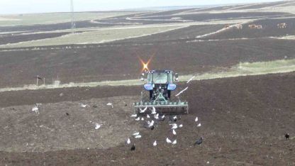 Karslı Üreticiler Tarlalarda: Soğuk Hava ve Kar Yağışı Tarım Takvimini Altüst Ettİ