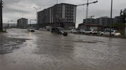 Ergani'de Sağanak Kabusu: Yollar Göle Döndü, Evleri Su Bastı