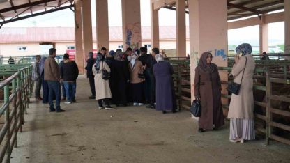 Muş'ta Kadınlara Dev Destek: 40 Milyonluk Hayvan Dağıtımı