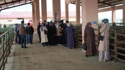 Muş'ta Kadınlara Dev Destek: 40 Milyonluk Hayvan Dağıtımı