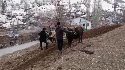 Van'da Zamana Yolculuk: Traktör Giremeyince Karasaban Çıktı