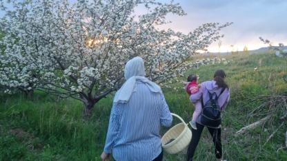 Gaziler köyü çiçek açan elma ağaçlarıyla büyülüyor