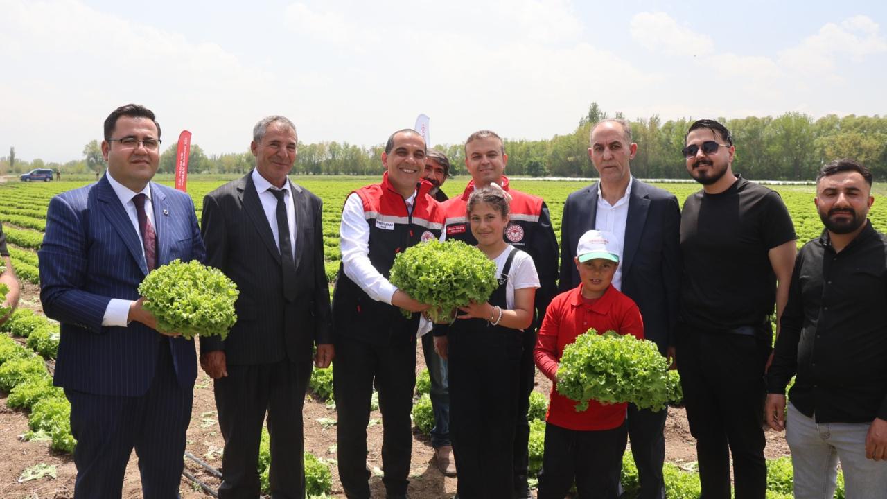 Iğdır’da 2026 Tarım Sezonunun İlk Hasadı Marulla Başladı