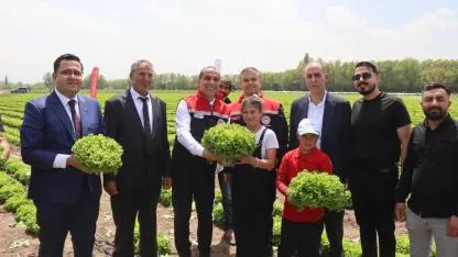 Iğdır’da 2026 Tarım Sezonunun İlk Hasadı Marulla Başladı