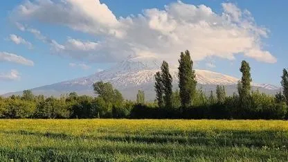 Iğdır’da Görsel Şölen: Beyaz ve Yeşilin Muazzam Buluşması