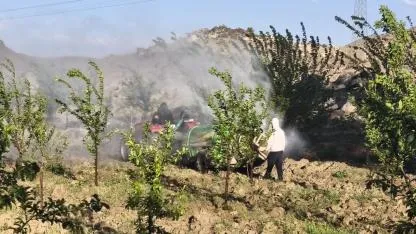 Iğdır’da Meyve Bahçelerinde İlaçlama Seferberliği