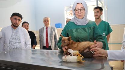 İki Devlet Tek Eğitim: Nahçıvanlı Gençler Iğdır'da