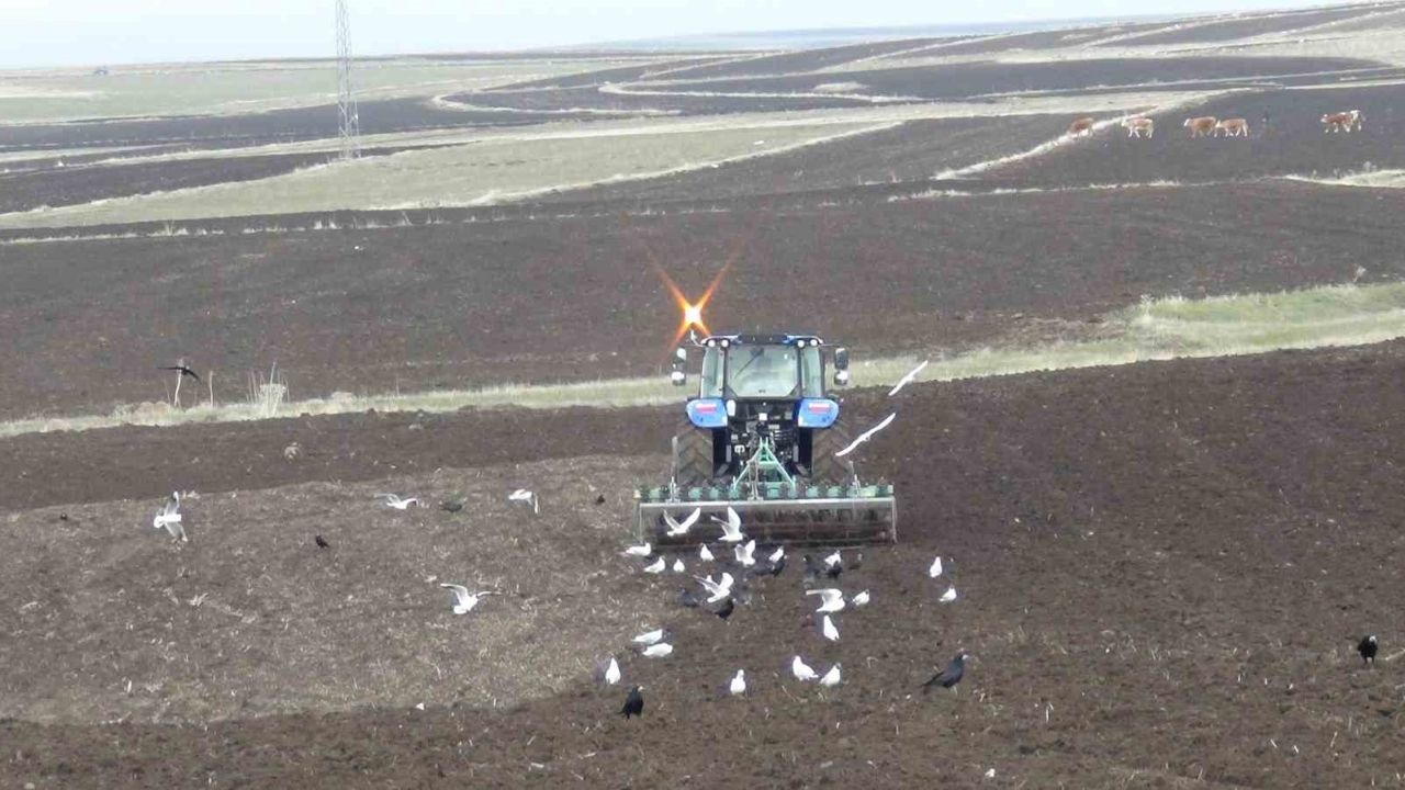 Karslı Üreticiler Tarlalarda: Soğuk Hava ve Kar Yağışı Tarım Takvimini Altüst Ettİ
