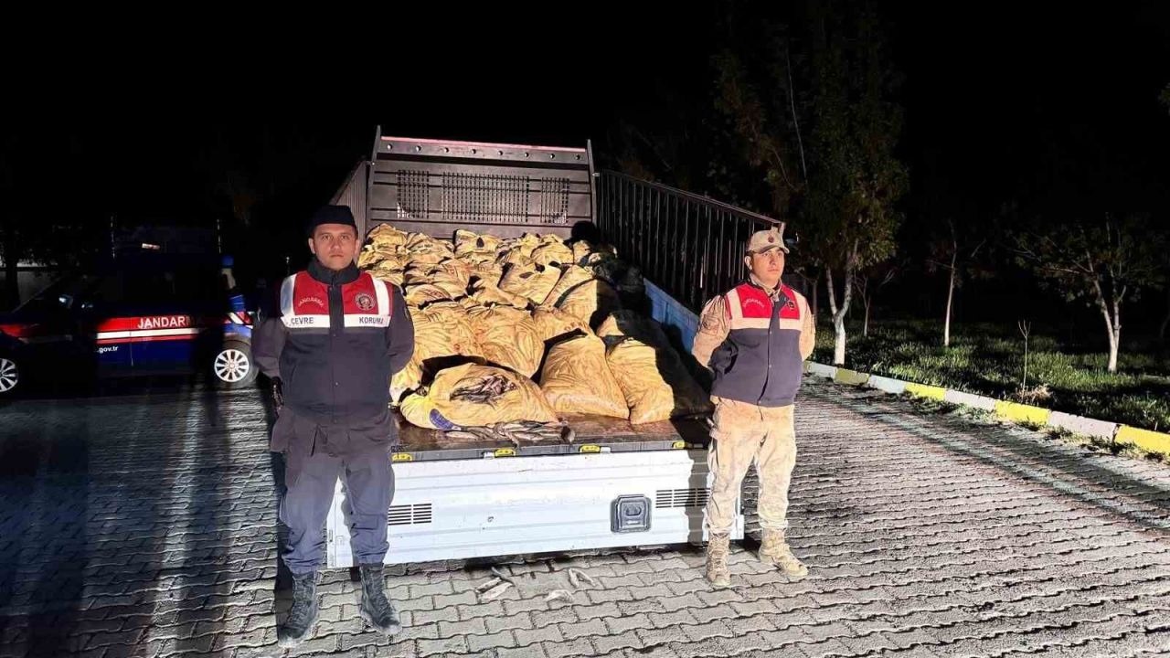 Muradiye’de İnci Kefali Operasyonu: 800 Kilo Balık Ele Geçti