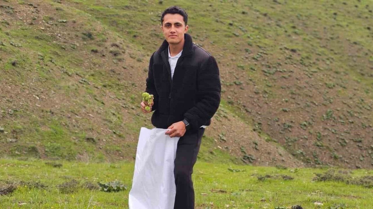 Muş'ta Yayla Muzu Mesaisi Başladı: Uçkun Toplamak İçin Dağlara Çıkıyorlar