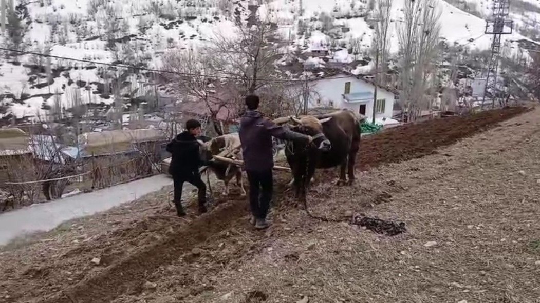 Van'da Zamana Yolculuk: Traktör Giremeyince Karasaban Çıktı