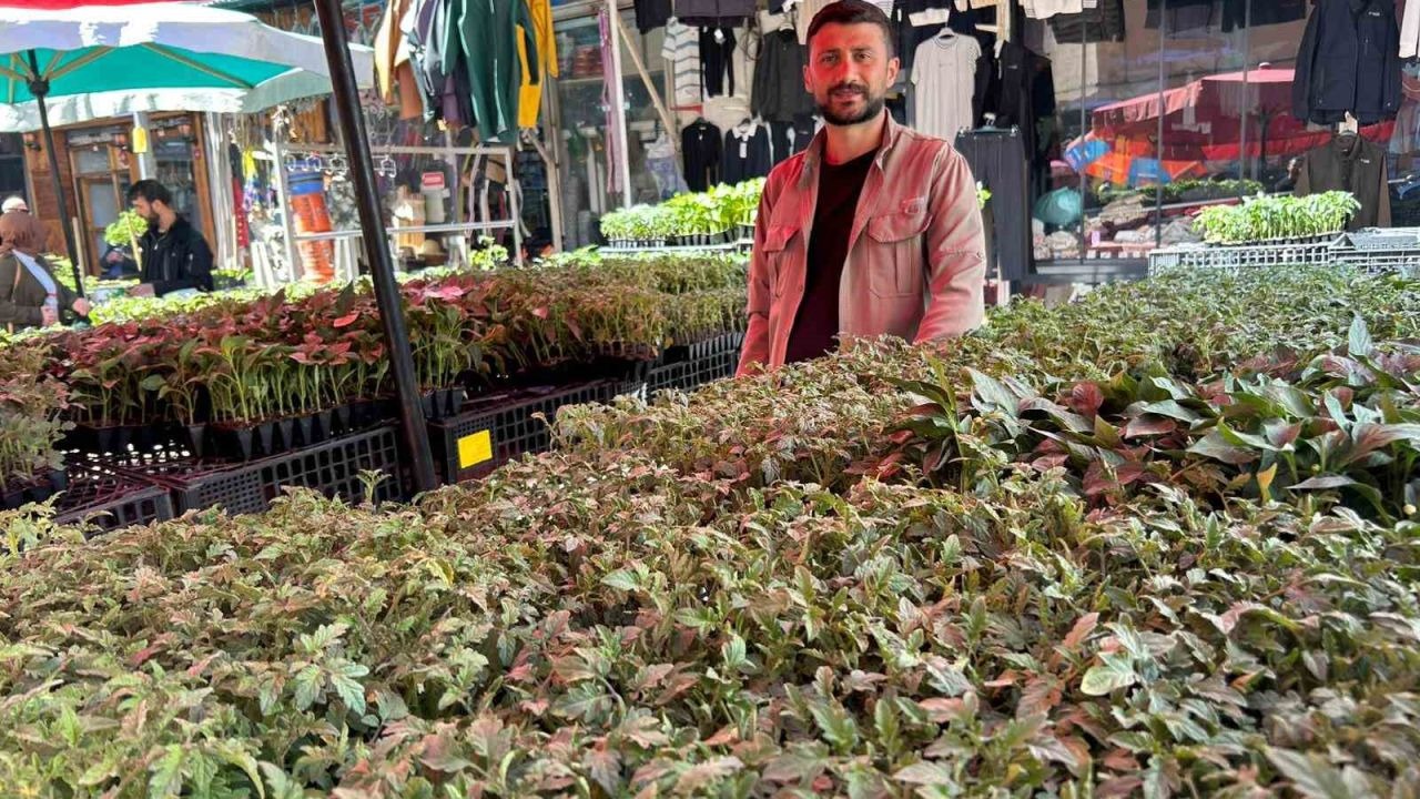 Vanlılar Bahçelere Koştu: Domates, Biber ve Salatalık Fidesine Rekor İlgi