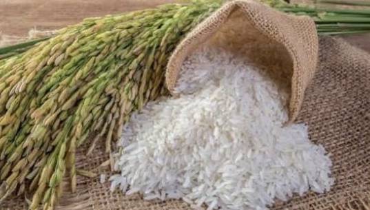 Iğdır’da Pirincin Serüveni: Unutulan Bir Bereketin Hikâyesi