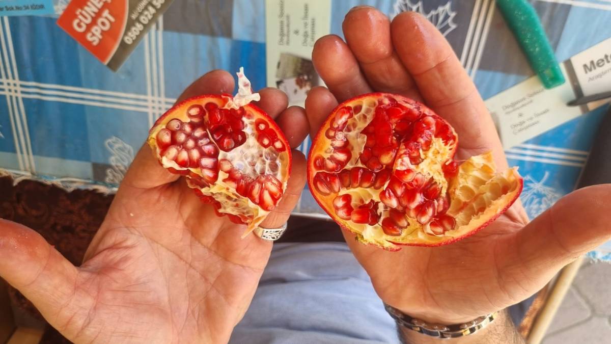 Iğdır’ın Narları Tezgâhlarda Yerini Aldı