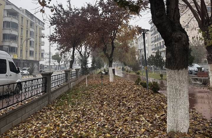 Iğdır’da Yağmur ve Yoğun Sis Etkisini Sürdürüyor