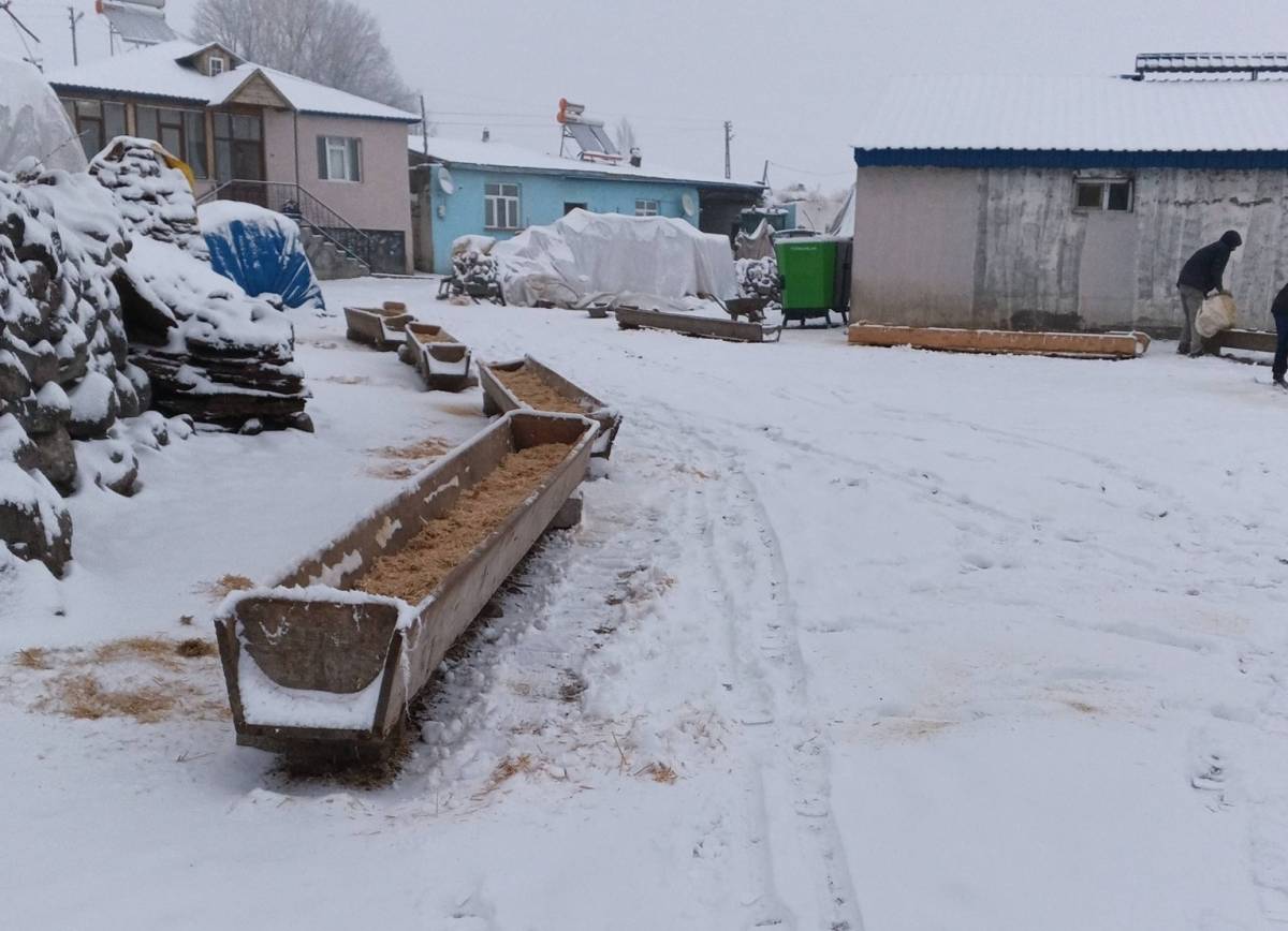 Iğdır'da Beyaz Esaret Besiciyi Vurdu: Otlaklar Kapandı, 'Ağıl' Mesaisi Başladı!