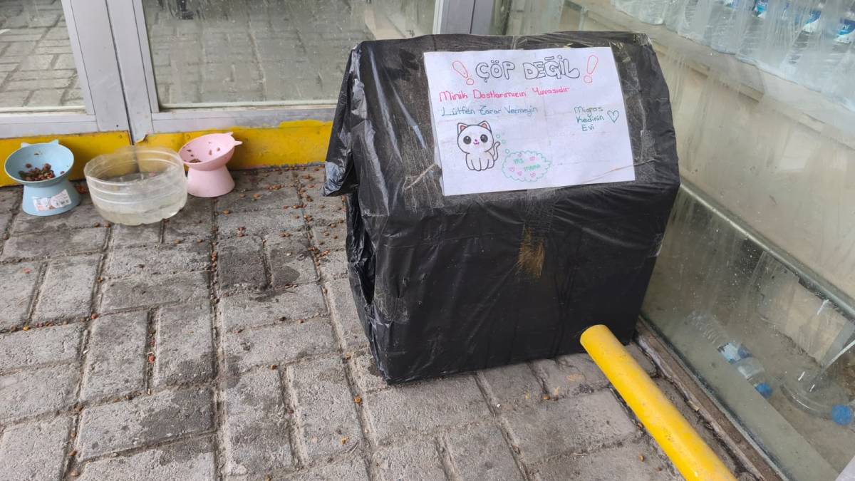 Iğdır Altın Fiyatları Bugün Ne Kadar? 14 Ocak 2026 Güncel Kuyumcu Fiyatları