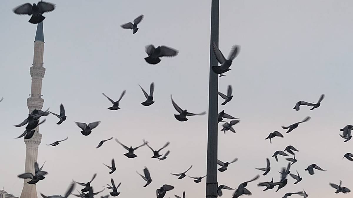 Iğdır’da Kar Yağışı Etkili Oldu