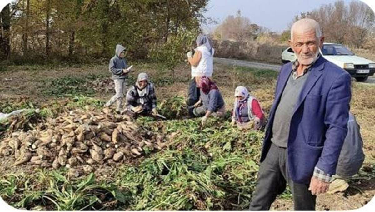 Iğdır’ın Şekerpancarıyla Yazılan Kayıp Hikayesi