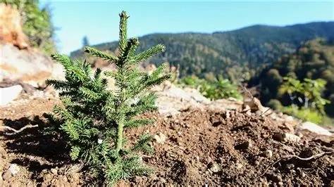 Iğdır Valisi Taşolar’dan Örnek Davranış: