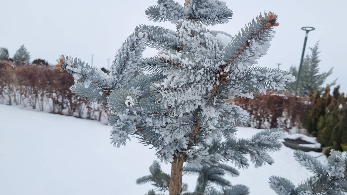 Iğdır'da Kar Esaretine İzin Yok: İl Özel İdaresi Ekipleri 7/24 Görev Başında!
