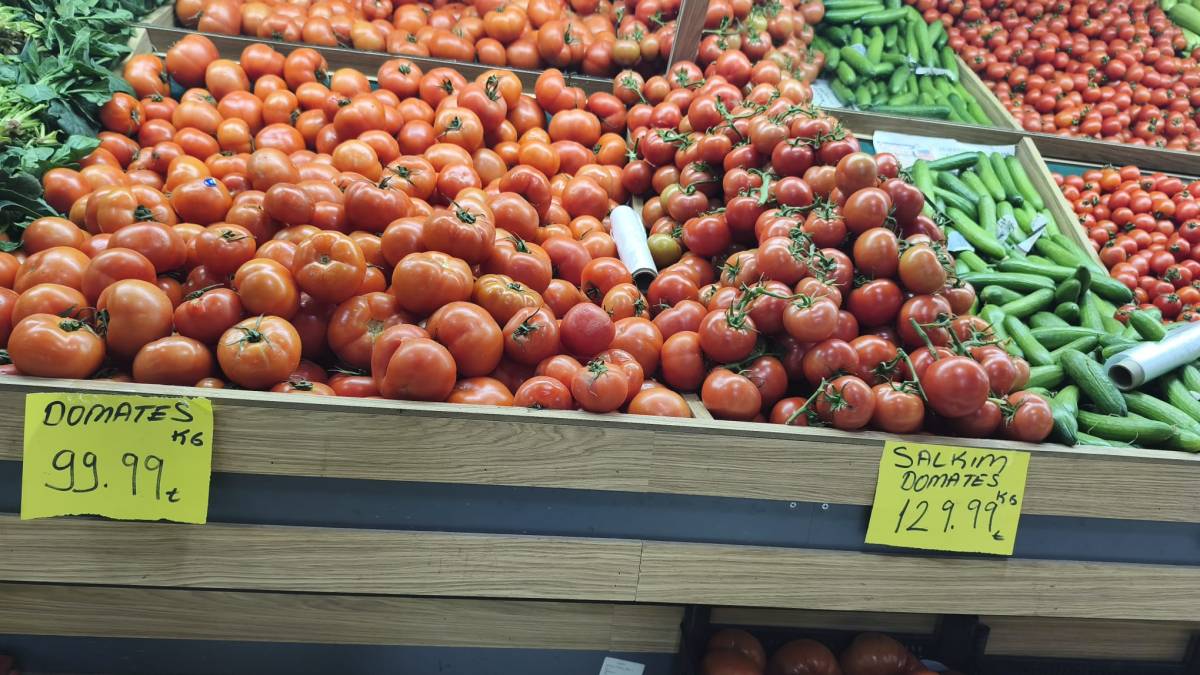 Iğdır’da Bahar Havası: Karlar Yağmur ve Güneşle Eriyor!