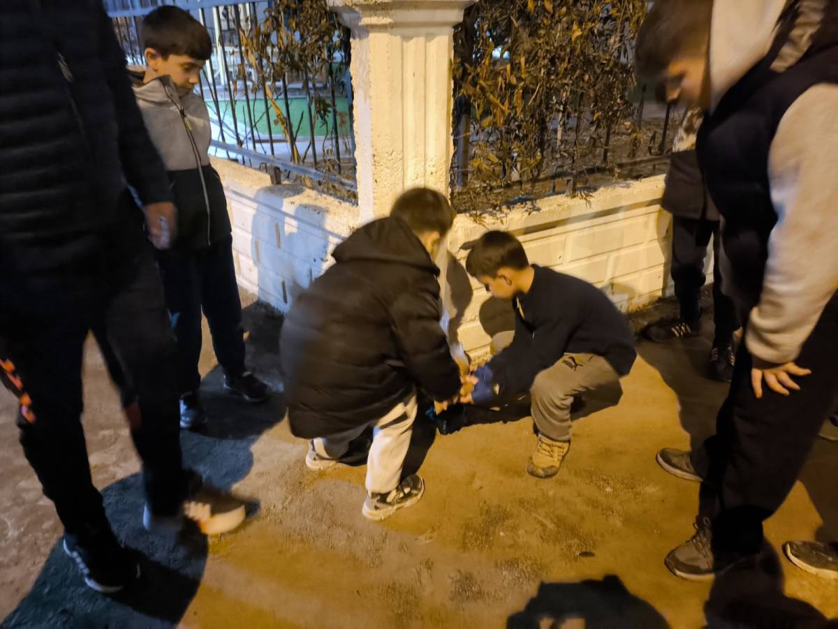 Ringlerin Şampiyonları 