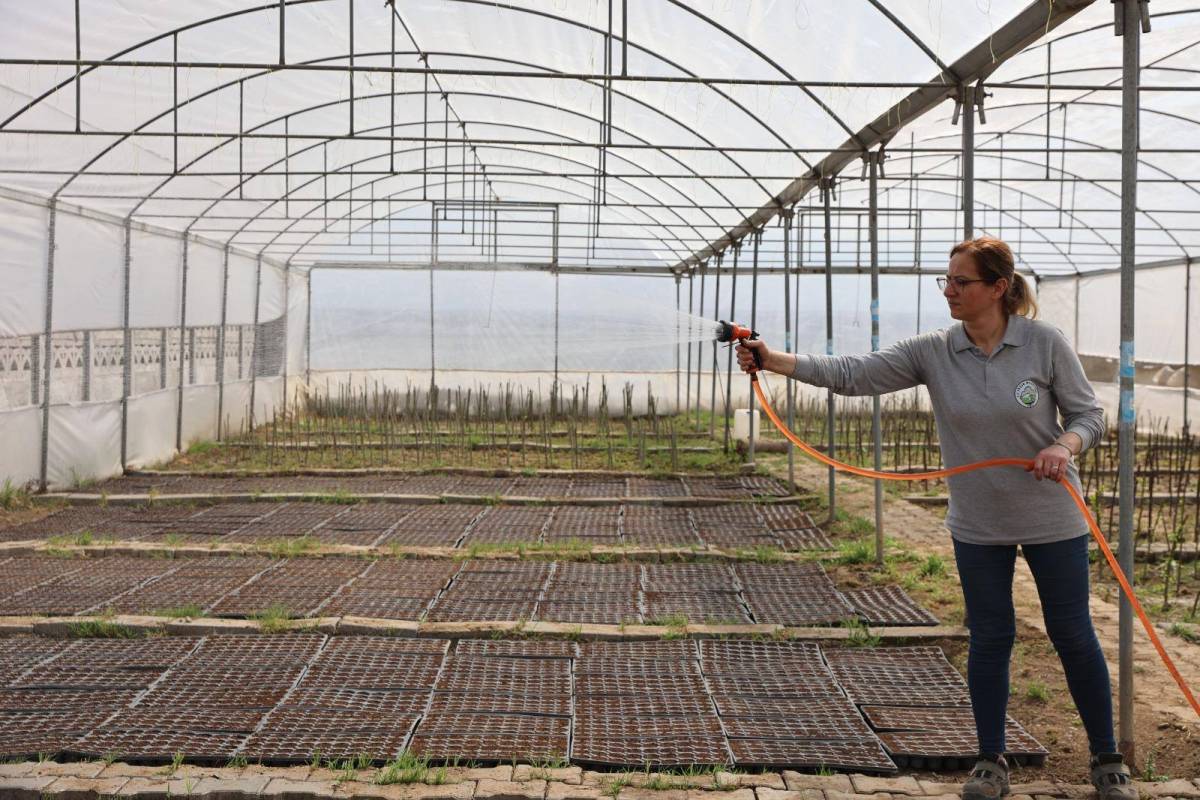 Iğdır’da Bahar Hazırlığı: Park ve Bahçeler Müdürlüğü’nden Rengârenk Çalışma!
