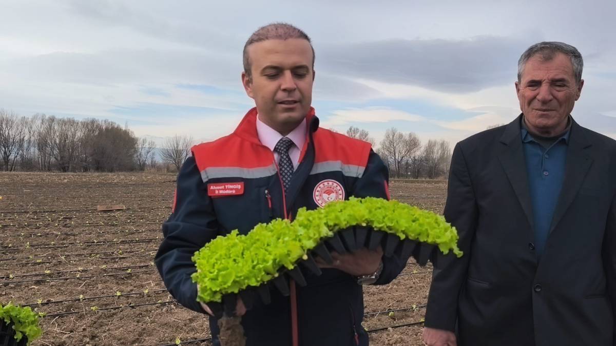 Iğdır Ovası’nda Bereketli Başlangıç: İlk Marul Fideleri Toprakla Buluştu