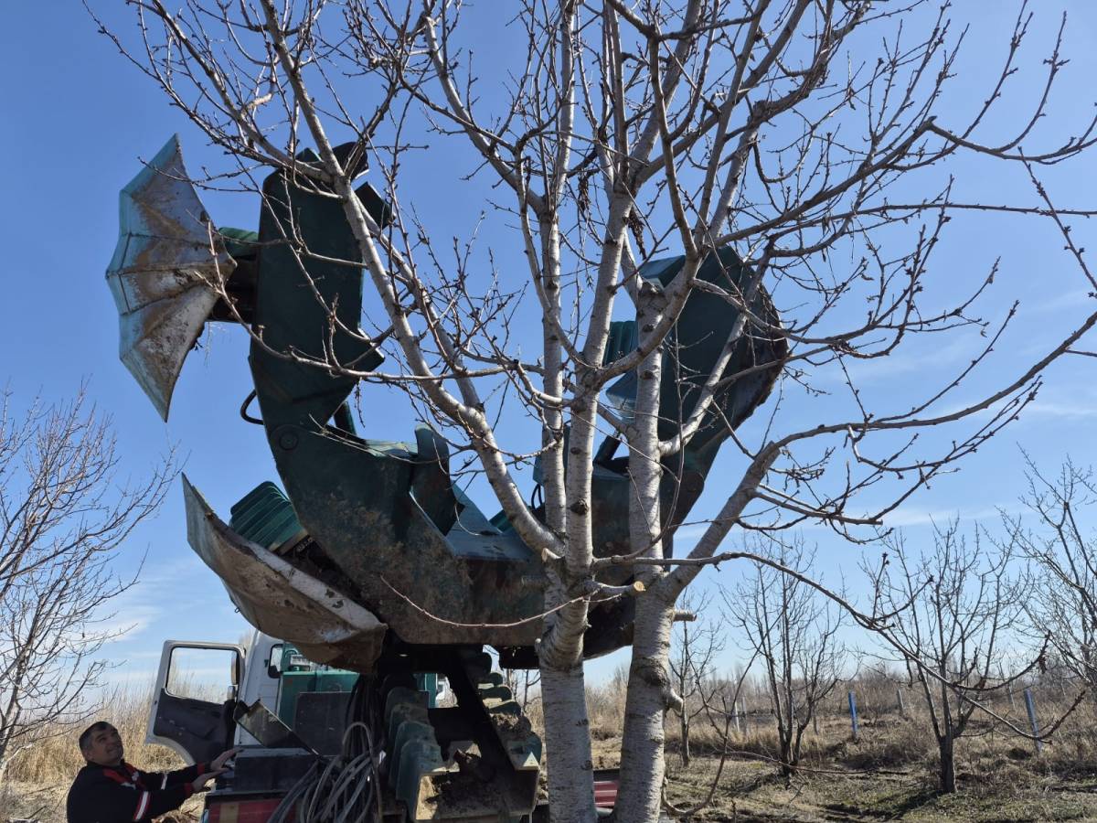 AK Parti Iğdır İl Teşkilatı’ndan Sağlık Çalışanlarına Tıp Bayramı Ziyareti