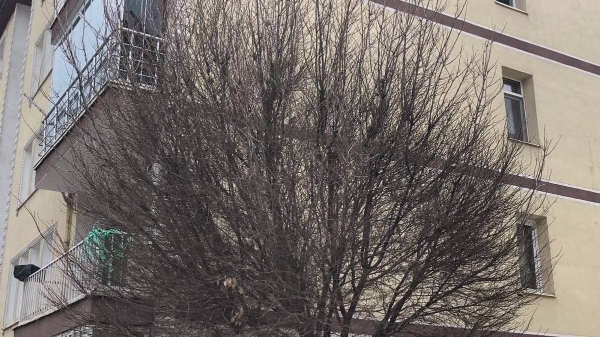 Iğdır’ın Ticaret Vizyonu Sınırları Aştı: Başkan Arslan Nahçıvan TV’ye Konuk Oldu!