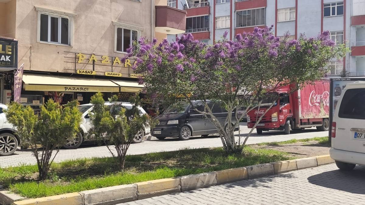 Iğdır’da Yağmur Bereketi: Şehir Merkezi Yeşile Büründü