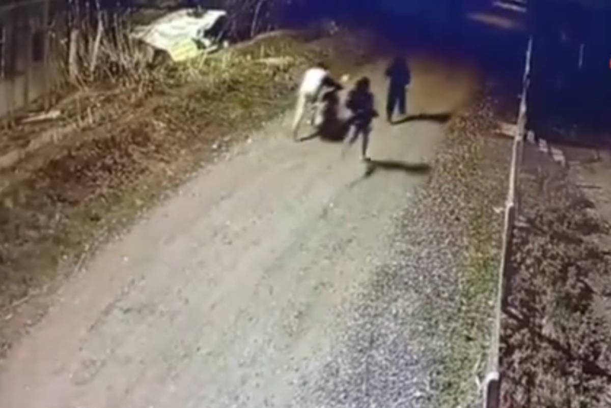 Akyumak Köyünde Motor Hırsızlarına Jandarma Operasyonu: 3 Gözaltı