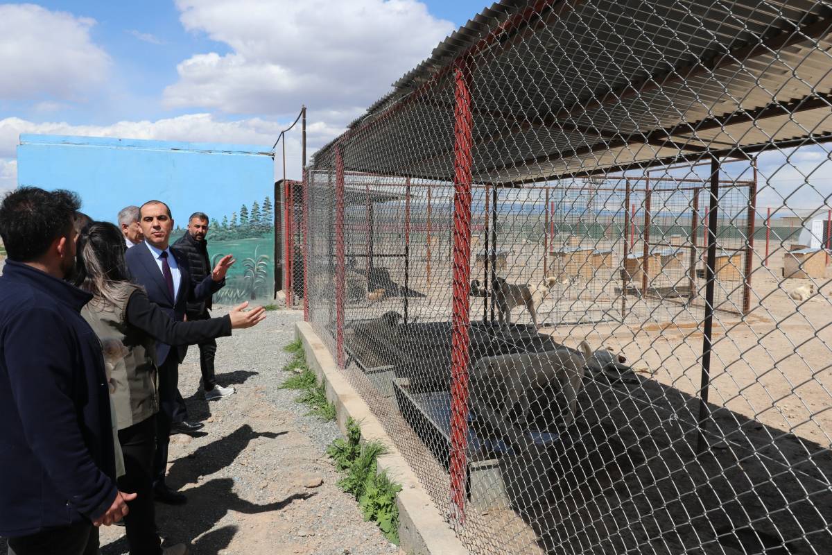 Vali Taşolar’dan Sahipsiz Canlara Şefkat Eli: Hayvan Bakımevi'ni Ziyaret Etti