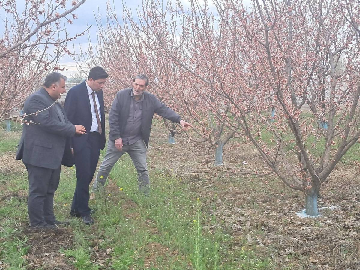 Karakoyunlu Kaymakamı Erdoğan’dan Meyve Üreticilerine Ziyaret