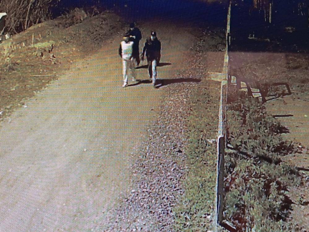 Iğdır'da Hırsız-Köylü Kovalamacası: 