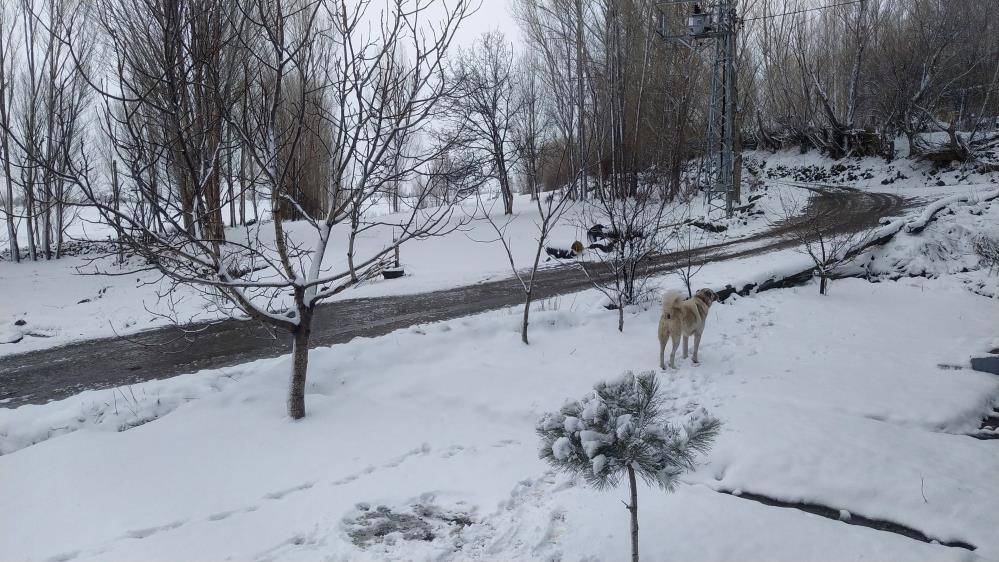 Iğdır’da İki Mevsim Bir Arada: Karacaören Köyü Kar Altında