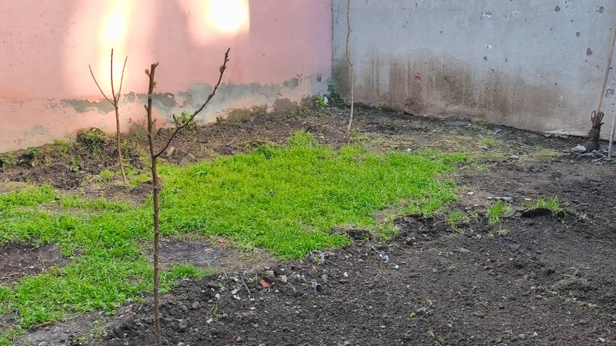 Iğdırlı Vatandaşlardan Pahalılığa Karşı “Mini Bahçe” Önlemi